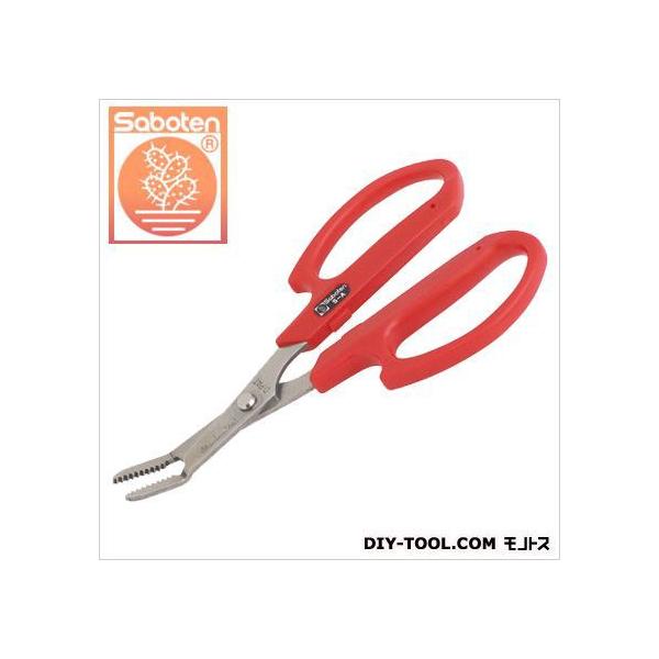 T{e  170mm NO.5-A 1_