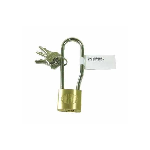 At@ ݒ싞 1000-30LS 1