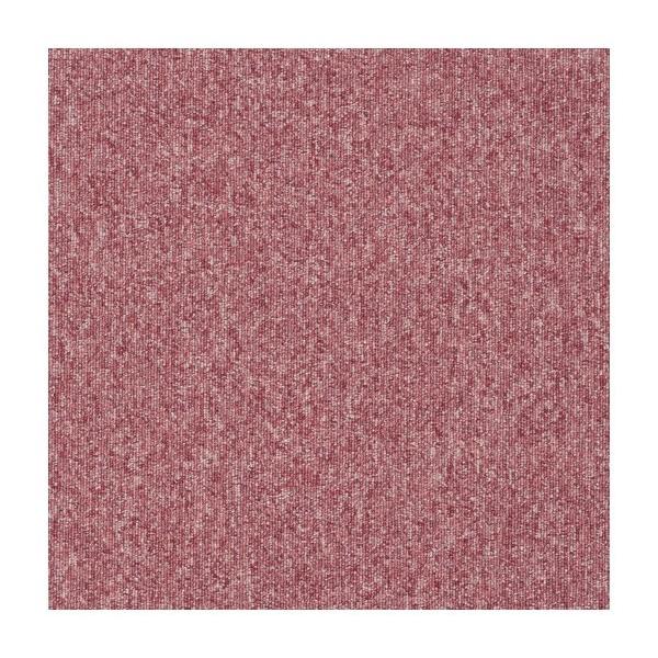 ECOS ^CJ[ybg 50×50cm(1) PX-3000 20 0