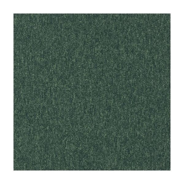 ECOS ^CJ[ybg 50×50cm(1) PX-3000 20 0