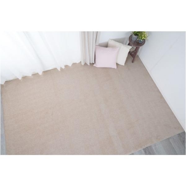 s[XJ[ybg Hz[~Xg AC{[ {4.5 13137859