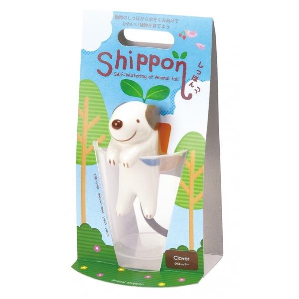 V| Shippon(ۂ) Ck N[o[