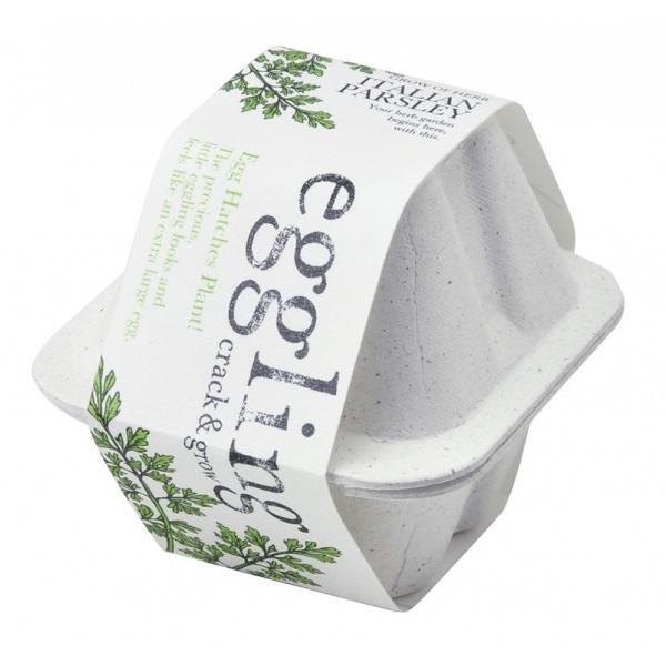 V| GbOO GR C^AnKZ EG-4802