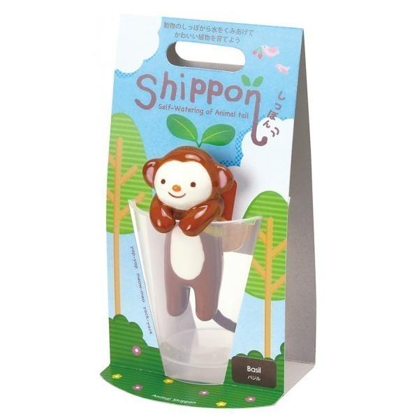 ���V���| �����ۂ� �T�� �n�J�V�J�� GD-66003