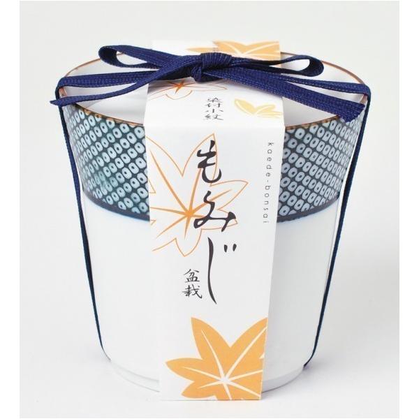 V| ~͍͔|Zbg ݂ GD-45203