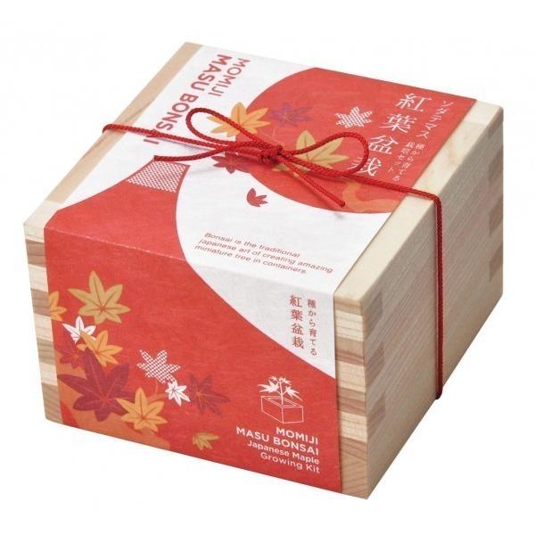 V| \_e}X ~̓Zbg ݂ GD-84603