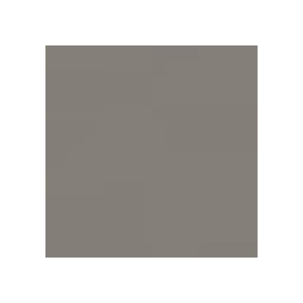  \tgЖ H=100mmL=909mm TH100RN22