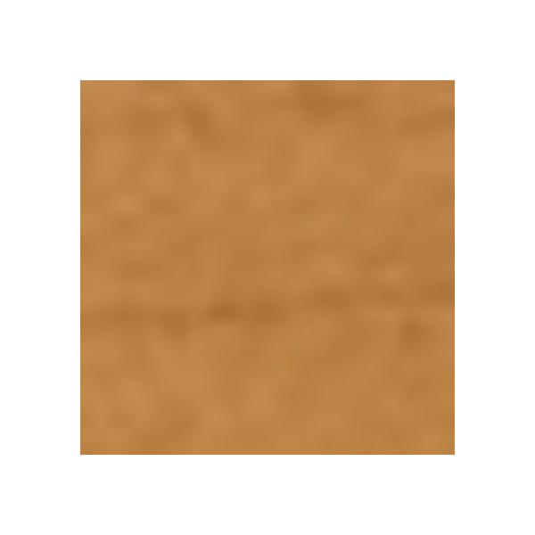  \tgЖ(ؖ) H=60mmL=909mm TH60303