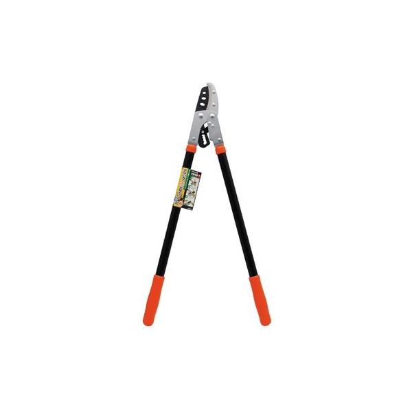 V `Fbg} H800×W310×D20(mm) 1