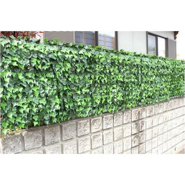 J AO[tFX(1X1M)ACr[ TAN-797