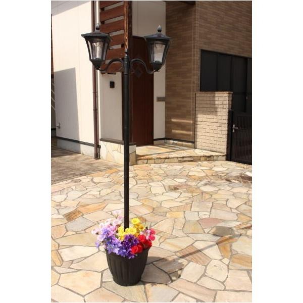 J t\[[X 2^Cv TAN-763-2