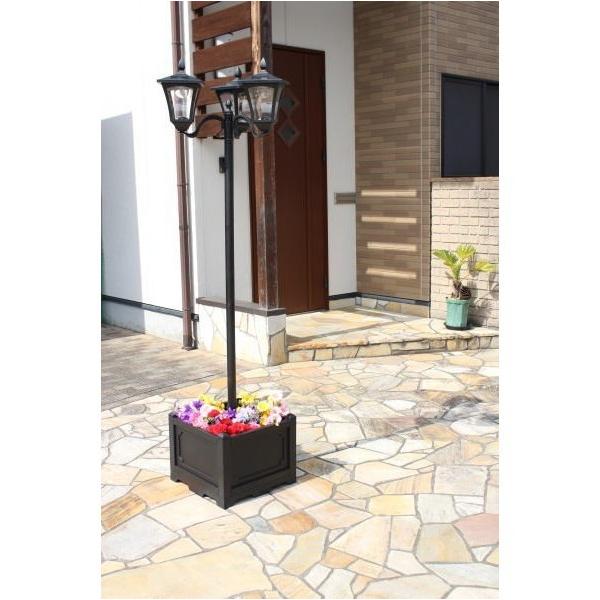 J lpv^[t\[[Cg 3 TAN-793-3