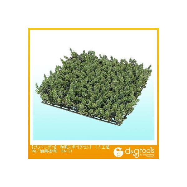 ^JV[ O[fRaXMSPZbg(lHA/ϗtA) GN-21 0