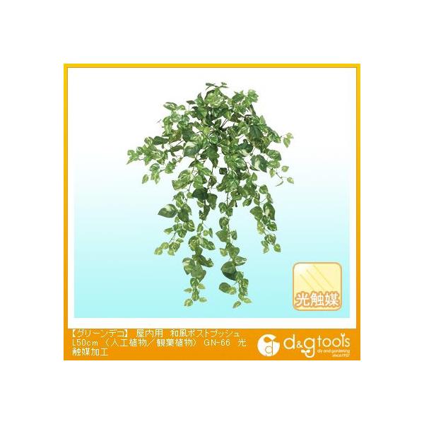 ^JV[ O[fRpa|XgvbV(lHA/ϗtA)G}H L50cm GN-66 0