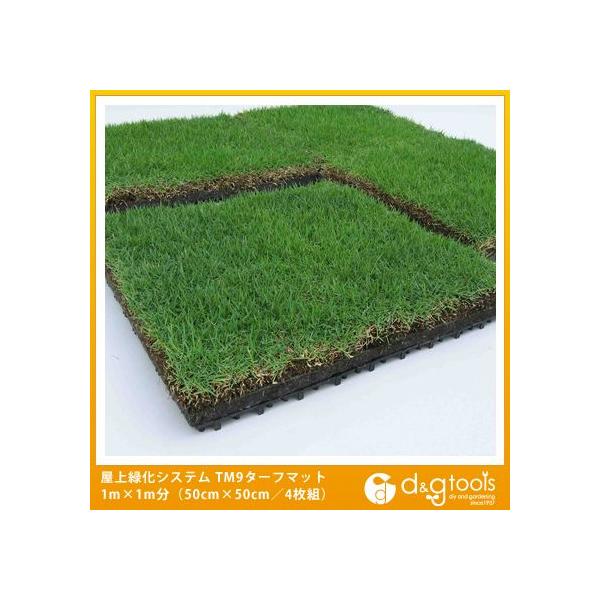 山崎産業 コンドル 屋上緑化システム本物の芝生マットtm9ターフマット 1m 1m分 50センチ角4枚組 0 Buyee Buyee 提供一站式最全面最專業現地yahoo Japan拍賣代bid代拍代購服務 Bot Online