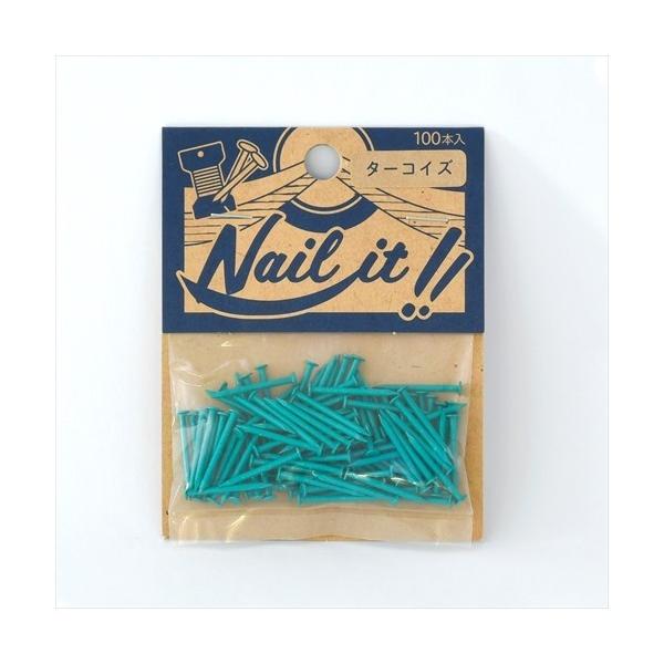 Y NAILITB17×19 ^[RCY NF10019 100{