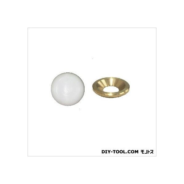 tWebN ZbgLbvJo[ Lbv:EbV:n 95531