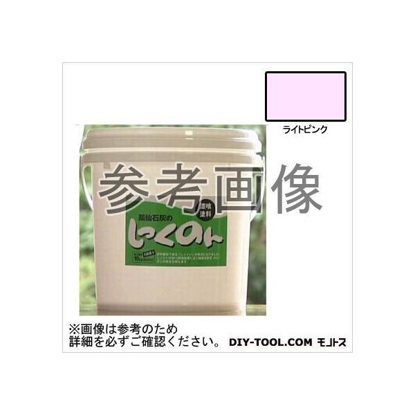 ΊD ̂񎺓ph CgsN 10kg