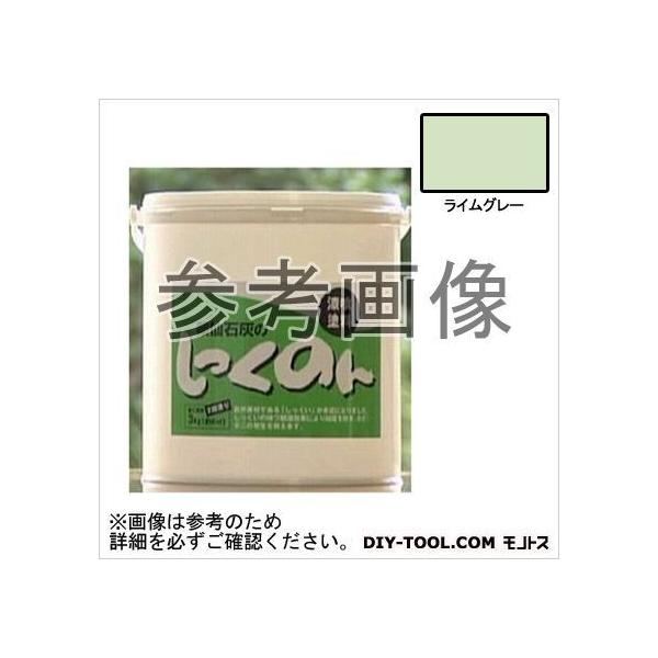 ΊD ̂񎺓ph CO[ 3kg