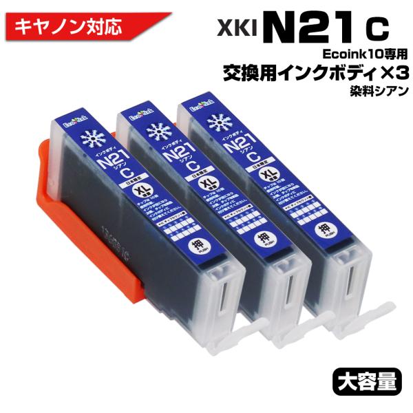 プリンターインク専用 キヤノン プリンターインク Ecoink10 交換用インクボディセット