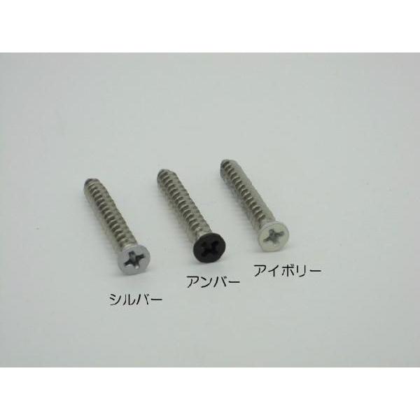 ステンレス 皿タッピング 小頭 4×30mmピクチャーレールR・スリムライン用 頭部塗装ビス ピクチャーレール 追加 ネジ