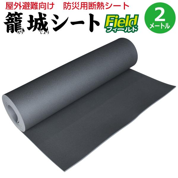 pi fM hЃObY O@ďV[gtC[h2m@{ɕKvȂ Ki Œ@ ₦ ΍ pfMV[g