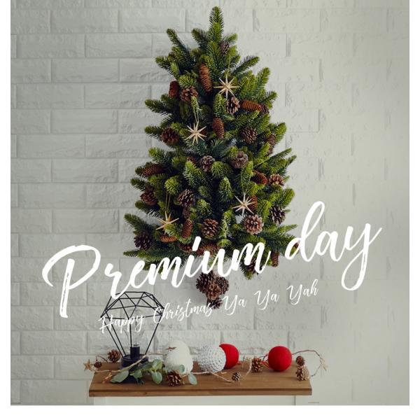 クリスマスツリー 壁掛け ハンギングツリー ウォールツリー 樅 ブランシェ おしゃれ 北欧 ヌードツリー ナチュラル ギフ 包装