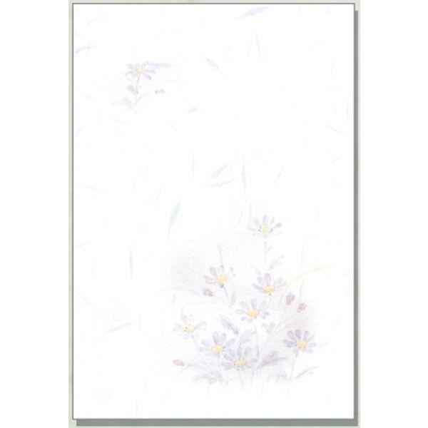 喪中ハガキ インクジェト 白雲礼蒼菊 100枚 Oah Pj675 ディコム 通販 Yahoo ショッピング