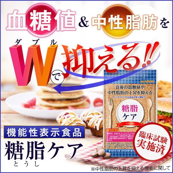 糖脂ケア 血糖値 サプリメント サプリ 血糖値を下げる 中性脂肪を下げる 中性脂肪 下げる 血糖値下げるサプリ サラシア 錠剤 健康 サポート Buyee Buyee Japanese Proxy Service Buy From Japan Bot Online