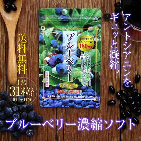 お手頃価格 えがお ブルーベリー 31粒 1袋