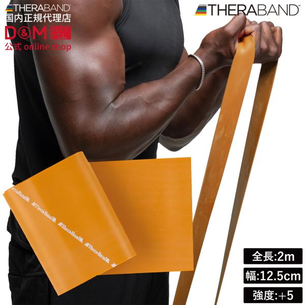 セラバンド トレーニングバンド 2m 強度レベル+5 ゴールド 金 #TBB-7 強度別 THERABAND トレーニング用 ゴムバンド 筋トレ