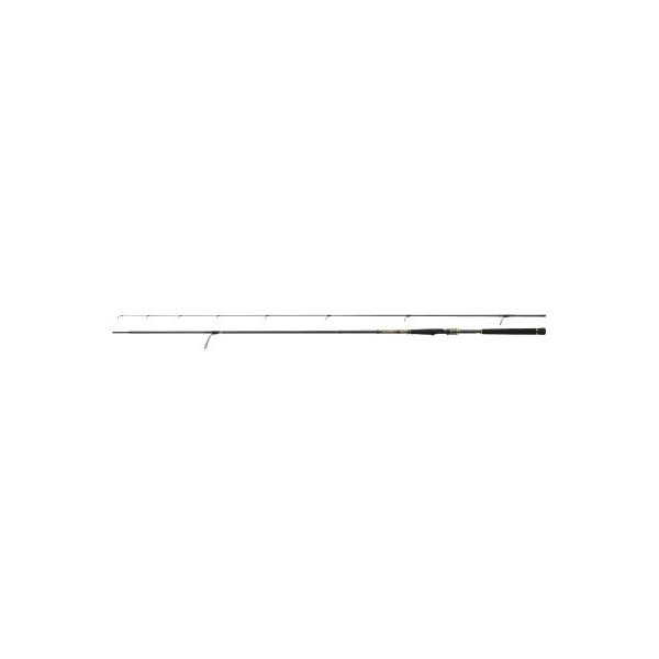 Daiwa モアザン ブランジーノ ブランジーノ Ags モアザン 1010m Mh J Dn Eshopのdaiwa Dn Eshop 買い銀座