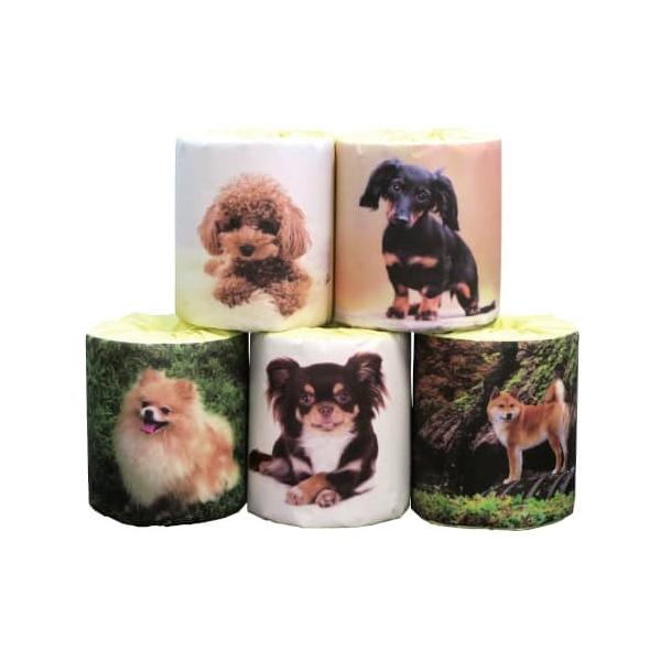 犬1ロール 5柄アソート　/トイレットペーパー/トイレットロール/衛生/景品/粗品/販促/プレゼント　★ロット割れ不可　100個単位でご注文願います