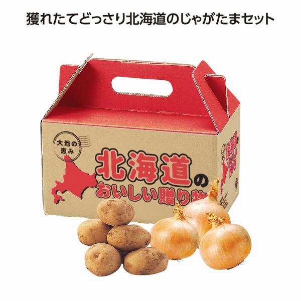 ●化粧箱サイズ：112×200×120mm●内容量：じゃがいも約500g・たまねぎ約500g●賞味期間：冷暗所にて約7日/ありがとう/イベント/祝/宴会/お買い得/おすすめ/お得/おまけ/おめでた/おもしろ/御礼/格安/学校/変わり種/企業...