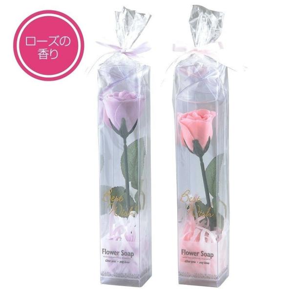 t[\[v [Yց@bgs@60Pʂł肢܂@@/Ό//Ό/΂//\[v/t[\[v/v[g