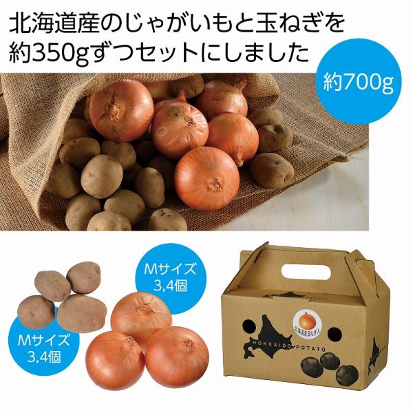●セット内容：北海道産じゃがいも(男爵)約350g(Mサイズ3、4個)  北海道産玉ねぎ約350g(Mサイズ3、4個)●持ち手付化粧箱サイズ：21×12×12cm●賞味期間：目安7日間(常温)/ありがとう/イベント/祝/宴会/お買い得/おす...