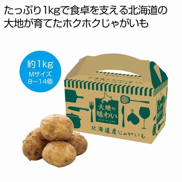 大地の味わい 北海道産じゃがいも1kg　/記念品/景品/粗品/ノベルティ/販促品/プチギフト/法人向け　★ロット割れ不可　24個単位でご注文願います