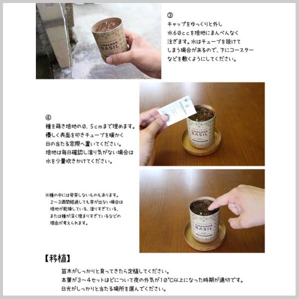 水耕栽培 クラフト シード スターターキット ティーシリーズ 3種類 ミント レモンバジル ビーバーム プレゼント 簡単 Hb Buyee Buyee 日本の通販商品 オークションの代理入札 代理購入