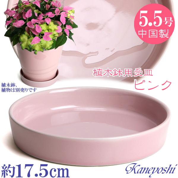 植木鉢用受皿 おしゃれ 安い 陶器 サイズ 17cm KN1173 5.5号