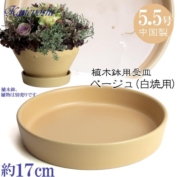 植木鉢用受皿 おしゃれ 安い 陶器 サイズ 17cm KN1178 5.5号 ベージュ 室内 屋外 白 色