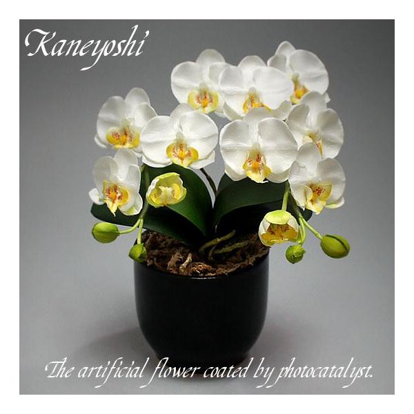 【サイズ】　【幅】　約 ２０ cm ×【高さ】　約 ２８ cm　【重量】　約 １kg　（鉢の形状によって多少異なる事が有ります。）【花の径】（横） 約 ５．５cm × （縦） 約 ５cm胡蝶蘭小輪の造花に光触媒加工が施してあります。 　光触...