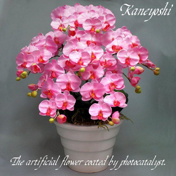 【サイズ】【幅】 約 ６０cm ×【高さ】 約 ７０cm　（鉢の形状によって多少異なる事が有ります。）【花の径】（横） 約 ８．５cm × （縦） 約 ７．５cm胡蝶蘭大輪の造花に光触媒加工が施してあります。 　光触媒作用を持つ二酸化チタン...