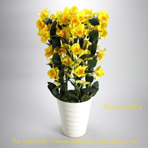 【光触媒フラワーとは】　光触媒作用を持つ二酸化チタン溶液を、精巧に作られたアートフラワーの花や葉、陶器（全て）にコーティング加工を施した商品です。 　触媒に使用している二酸化チタンは、【無害】で、紫外線をあてると有機物を分解する性質があり、...