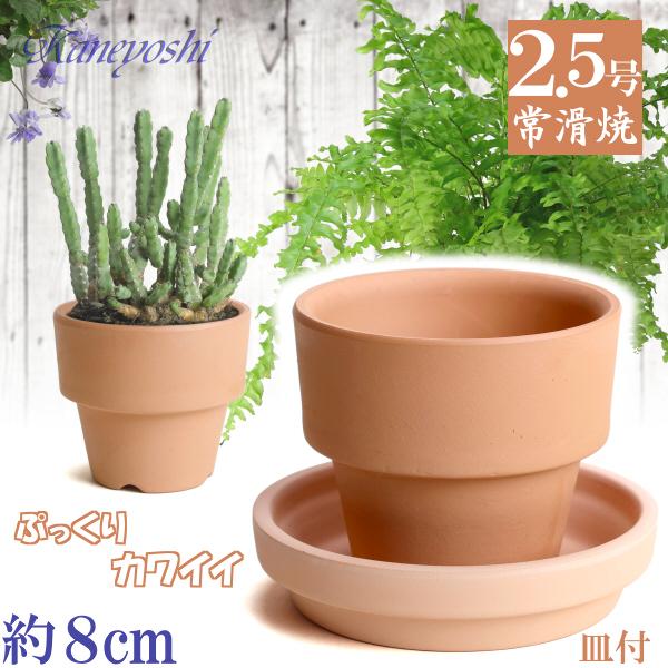 受皿付 植木鉢 おしゃれ 安い 陶器 サイズ ８cm ＨＷミニライフ 2.5号 素焼 ＆ ＨＯ受皿 3号 素焼 レンガ色 室内 テラコッタ 日本製