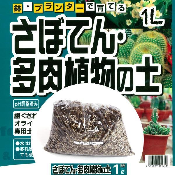 さぼてん 多肉植物の土 １ｌ 9960 1 植木鉢 メダカ鉢 七輪のどっちゃん 通販 Yahoo ショッピング