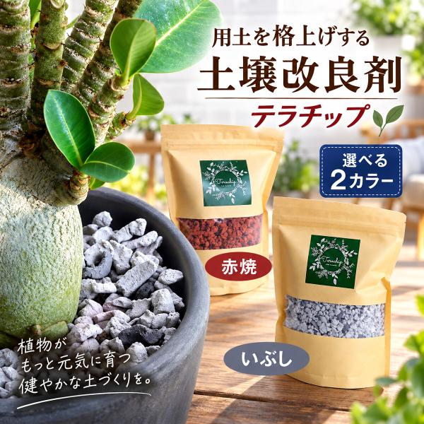 用土を格上げする土壌改良剤 テラチップ Ｍ 赤焼 600ml