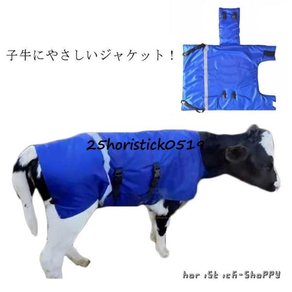 95*70cm  腹部38*20cm