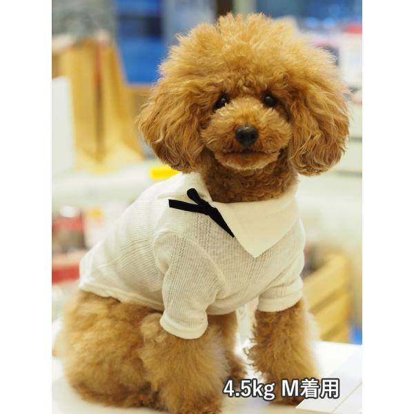 レースロンt ベージュ Toi Et Moi トワエモア Tシャツ 長袖 犬 猫 ペット 服 ドッグウェア ペットウェア Buyee Buyee 일본 통신 판매 상품 옥션의 대리 입찰 대리 구매 서비스