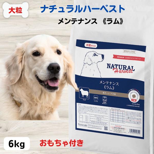 ドッグフード ナチュラルハーベスト ラム NATURAL Harvest ベーシックフォーミュラ メンテナンス大粒