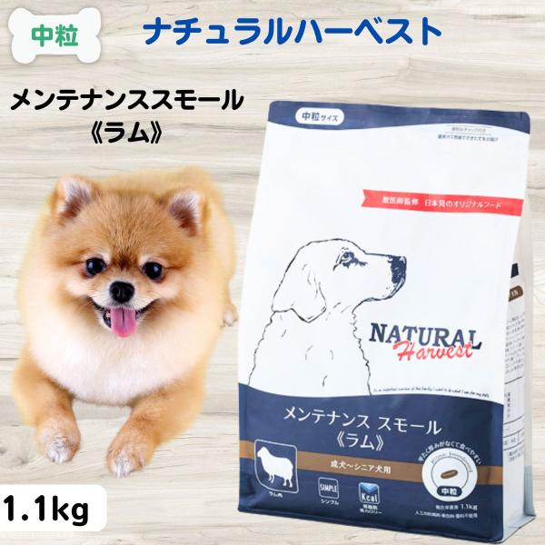 ラム ドッグフード 無添加 土日も発送 ナチュラルハーベスト NATURAL Harvest ベーシックフォーミュラ メンテナンス